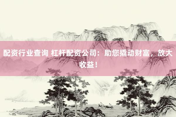 配资行业查询 杠杆配资公司：助您撬动财富，放大收益！