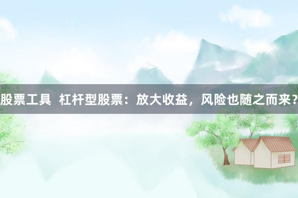 股票工具  杠杆型股票：放大收益，风险也随之而来？
