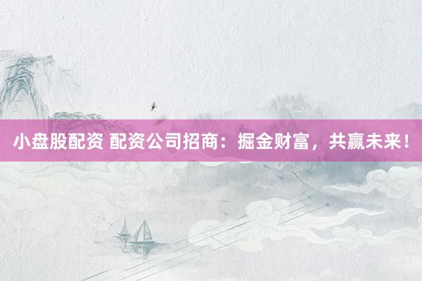 小盘股配资 配资公司招商：掘金财富，共赢未来！