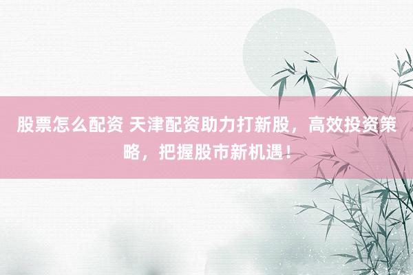 股票怎么配资 天津配资助力打新股，高效投资策略，把握股市新机遇！