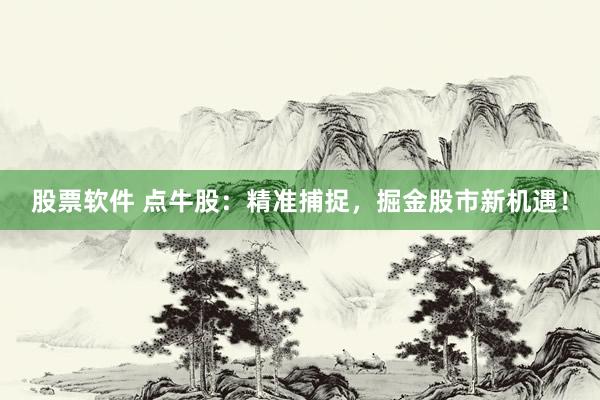 股票软件 点牛股：精准捕捉，掘金股市新机遇！