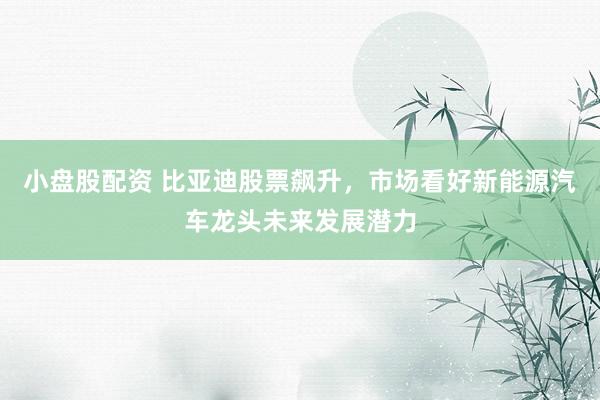 小盘股配资 比亚迪股票飙升，市场看好新能源汽车龙头未来发展潜力