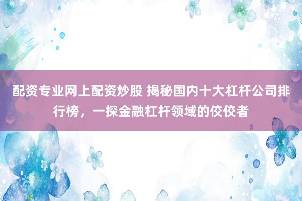 配资专业网上配资炒股 揭秘国内十大杠杆公司排行榜，一探金融杠杆领域的佼佼者