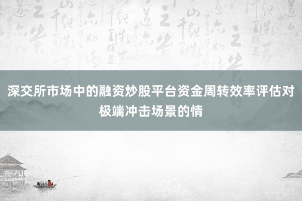 深交所市场中的融资炒股平台资金周转效率评估对极端冲击场景的情
