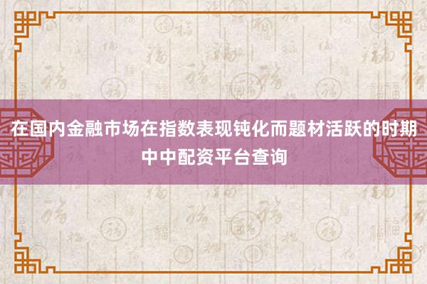 在国内金融市场在指数表现钝化而题材活跃的时期中中配资平台查询